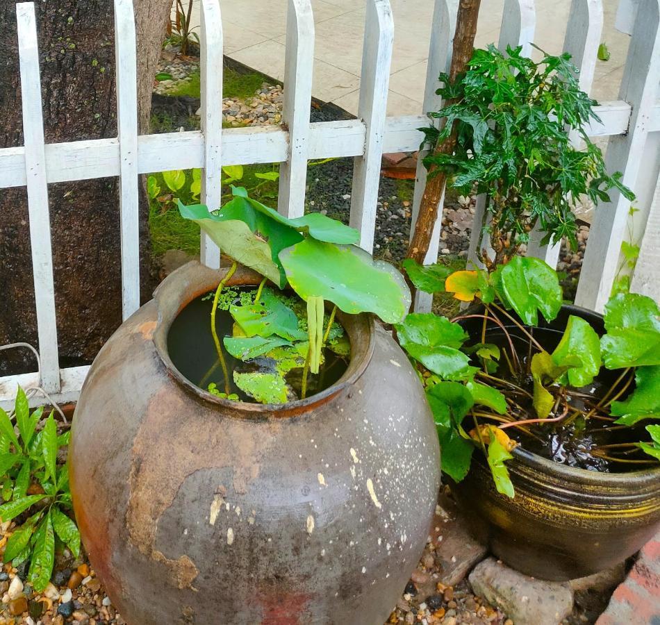 Lotus Corner - Heritage B&B Luang Prabang Exterior photo